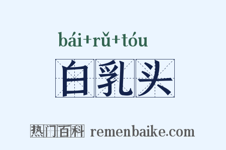 白乳头是什么意思的图片